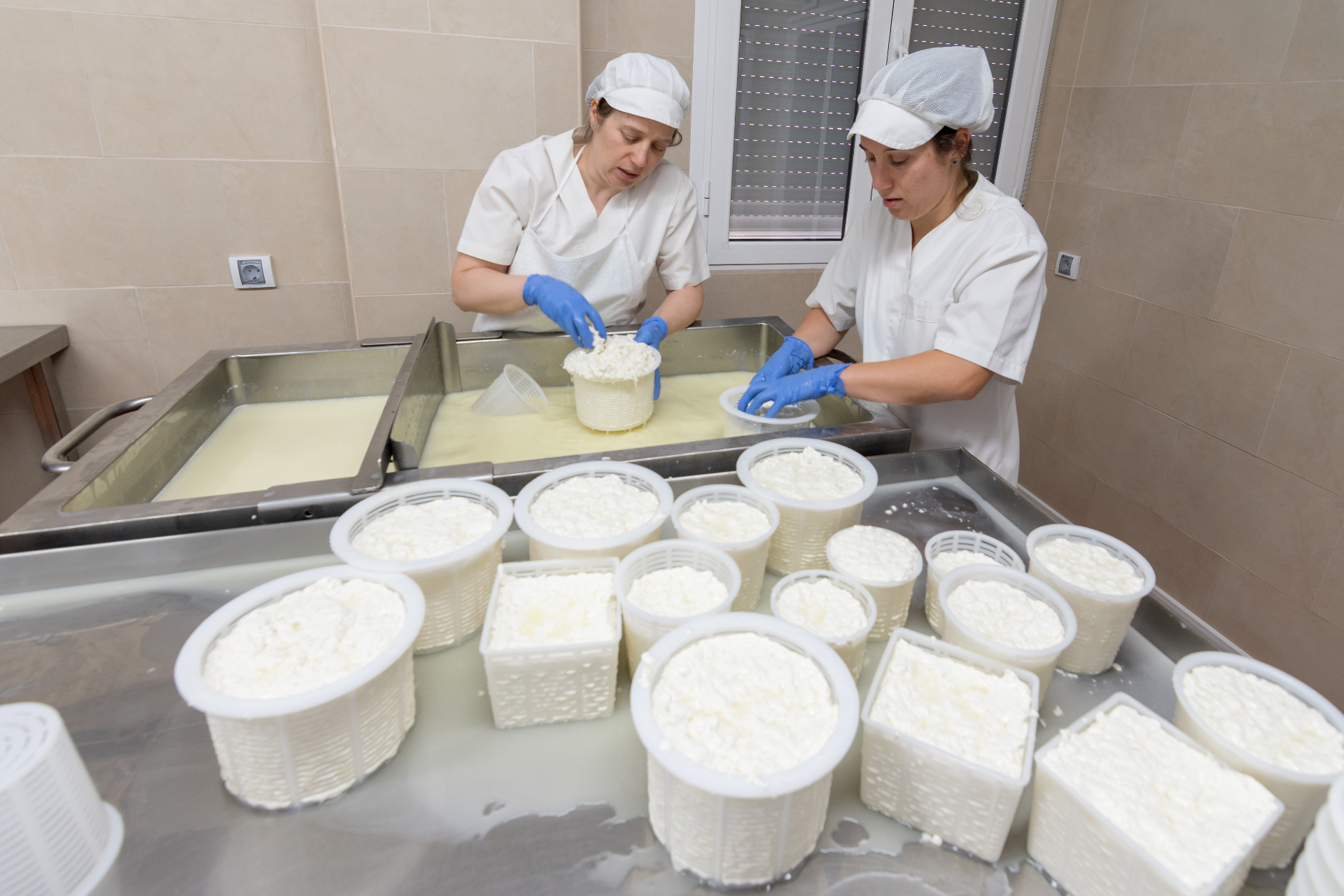 Elaboración artesanal de queso fresco en la quesería familiar
