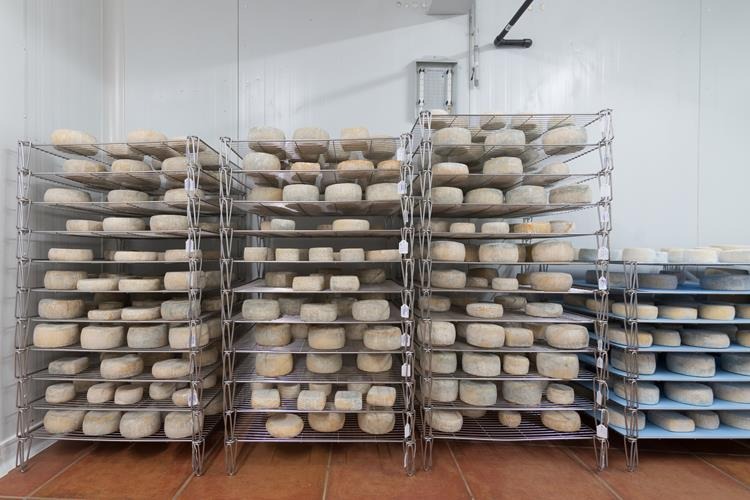 Bodega de curación de quesos de cabra