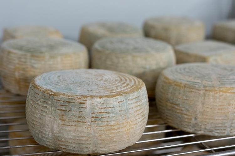 Queso curado de cabra elaborado en Quesería La Patilla con leche cruda de cabra Verata